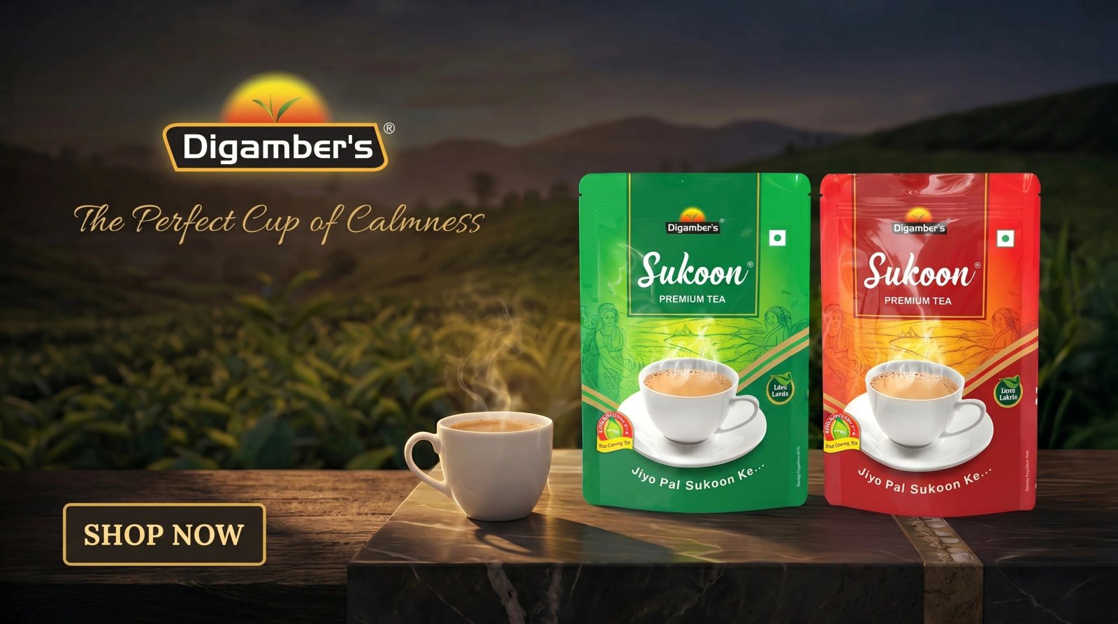 Digamber Industries Pvt Ltd Banner